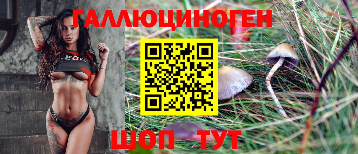 Галлюциногенные грибы MAGIC MUSHROOMS  Вход с VPN  Ногинск 