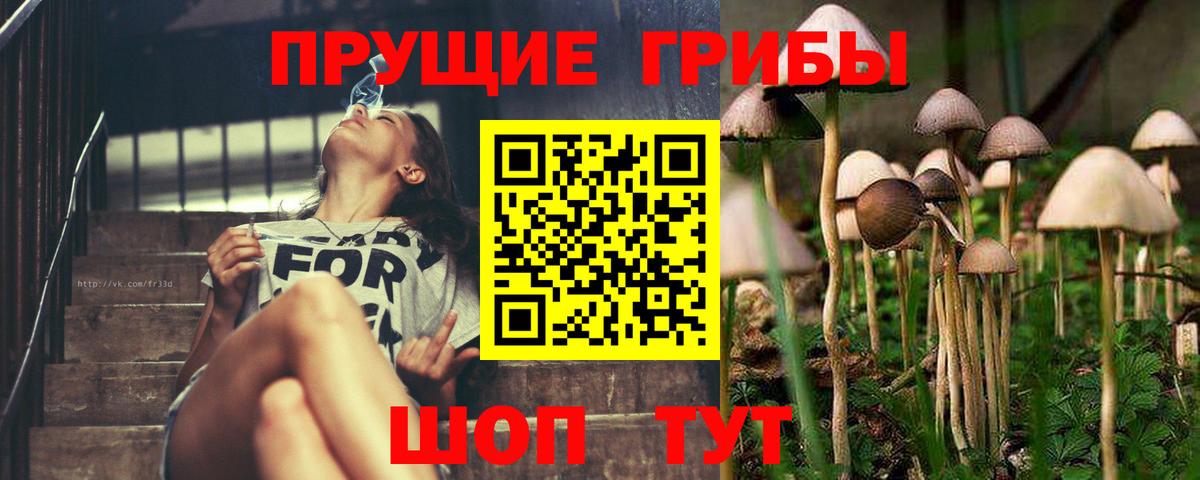Галлюциногенные грибы Magic Shrooms Ногинск